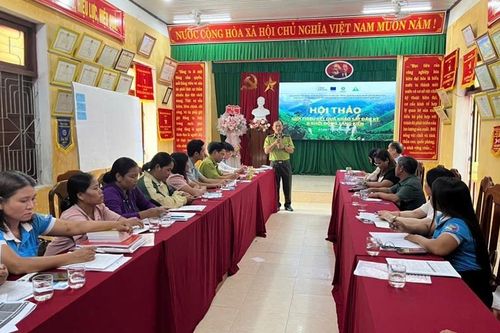 Khơi mở sinh kế từ dược liệu dưới tán rừng