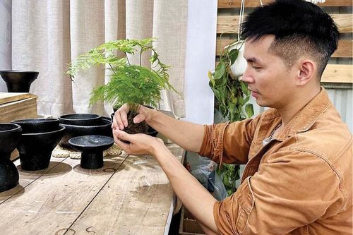 Đón hè cùng kokedama