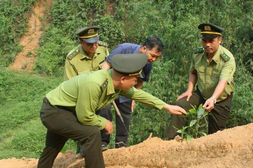 Tuyên Quang: Xã vùng cao Yên Phú trồng rừng, bảo vệ môi trường bền vững