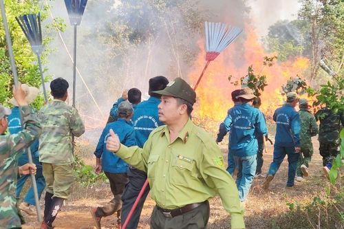 Nỗi lo của lực lượng kiểm lâm Vườn quốc gia Bù Gia Mập