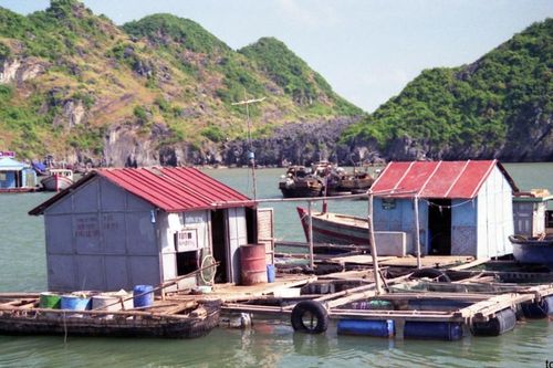 Nuôi biển, vươn biển và làm giàu từ biển: Từ hoài nghi đến những minh chứng cụ thể