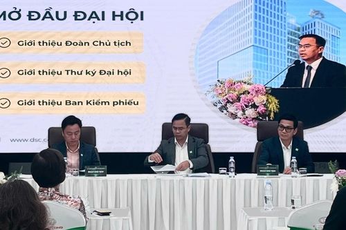 Tổng giám đốc DSC: 'Chúng tôi tự tin tìm đối tác chiến lược, đưa DSC đi xa hơn'