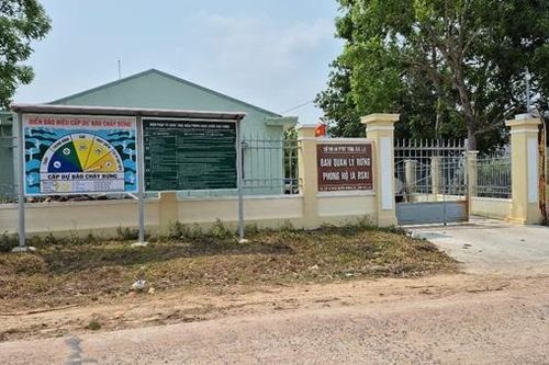 Tạm đình chỉ công tác Giám đốc Ban quản lý rừng để phục vụ điều tra