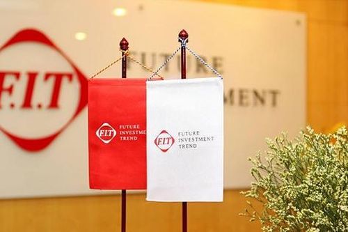 Tập đoàn F.I.T (FIT): Lợi nhuận lao dốc, cổ đông 'trắng tay' cổ tức giữa áp lực huy động hàng ngàn tỷ đồng