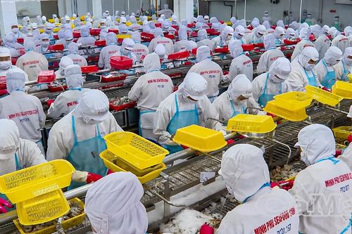 Khơi thông nguồn lực để doanh nghiệp bứt phá