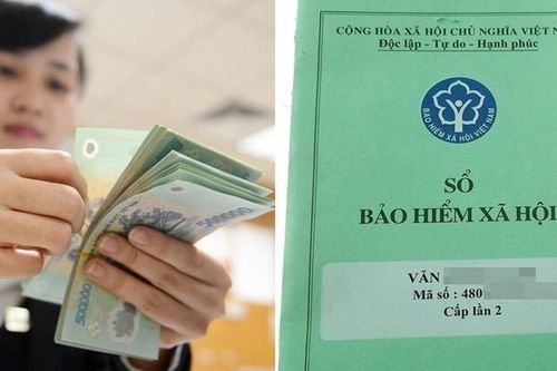 Hướng dẫn tra cứu quá trình tham gia BHXH online chi tiết nhất ra sao?