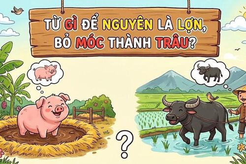 Giải đáp câu đố: Từ gì để nguyên là lợn, bỏ 'móc' thành trâu?