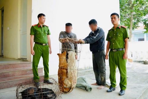 Bắt 2 thanh niên mang bình xịt hơi cay, ớt bột đi trộm chó