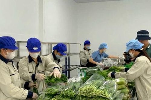Hà Nội siết quản lý an toàn thực phẩm bằng công nghệ số