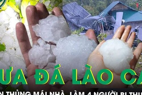 Mưa đá to như nắm tay dội xuống Lào Cai làm 4 người bị thương, gây thiệt hại trên 30 tỷ đồng