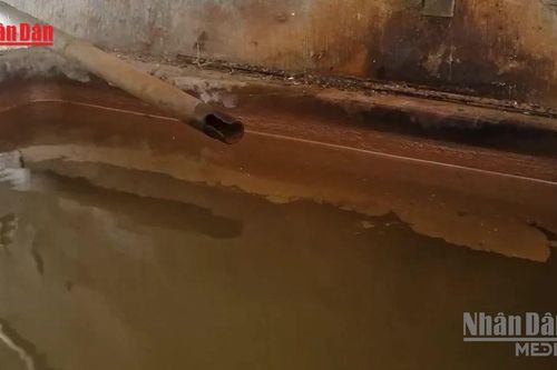 [Video] Nhiều hộ dân tại Đạ Tẻh thiếu nước sạch do nguồn nước nhiễm phèn kéo dài