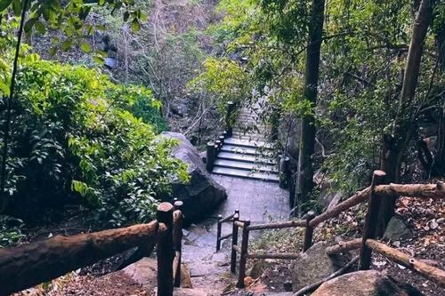 Tây Ninh: Kiểm soát người ra vào núi Bà Đen để phòng cháy rừng