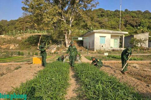 Chủ động tăng gia sản xuất, nâng cao đời sống cho cán bộ, chiến sĩ