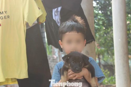 Chuyện lạ ở Phú Thọ: Hai đứa trẻ 7 và 11 tuổi không giấy khai sinh, không được đến trường