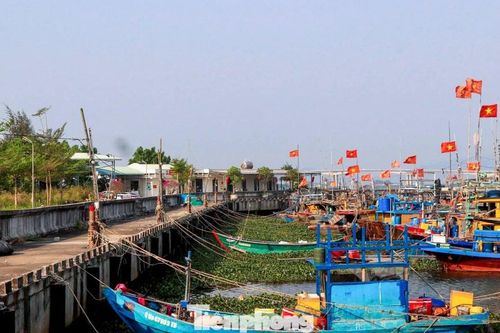 Cảng cá tiền tỷ bỏ hoang, ngư dân Đà Nẵng ngóng ngày vươn khơi