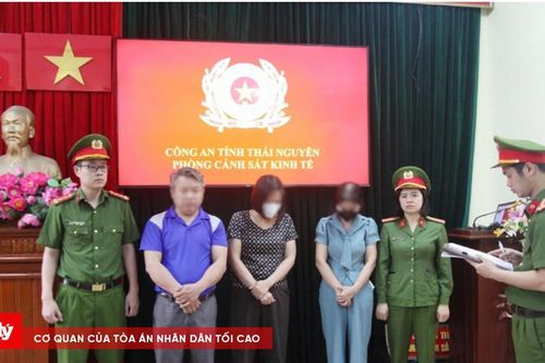 Khởi tố 3 đối tượng trong đường dây cung cấp thực phẩm bẩn vào trường học