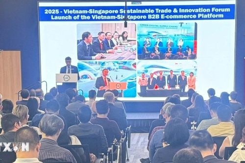 Việt Nam-Singapore thúc đẩy hợp tác kinh tế xanh và thương mại bền vững