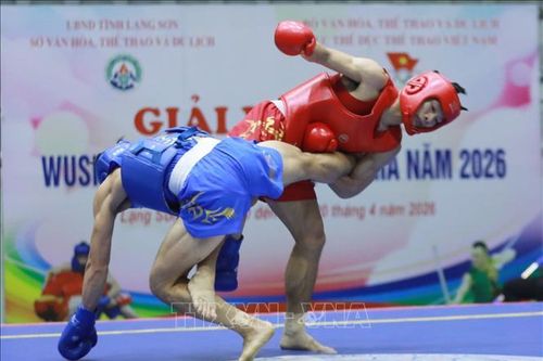 Đoàn Hà Nội giành giải nhất tại Giải Vô địch Wushu các câu lạc bộ quốc gia năm 2026