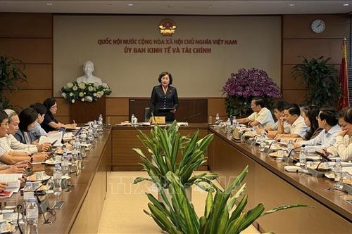 Phó Chủ tịch Quốc hội Nguyễn Thị Hồng làm việc với Thường trực Ủy ban Kinh tế và Tài chính