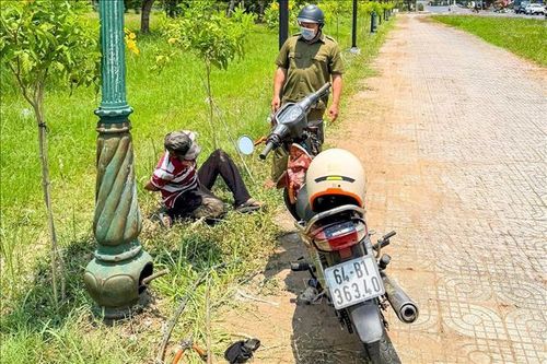 Bắt quả tang đối tượng cắt trộm cáp điện tại trụ đèn
