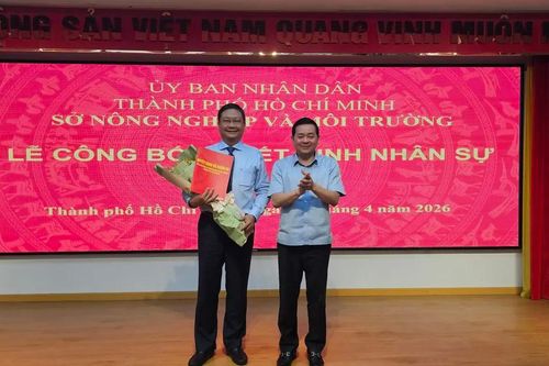 TPHCM kiện toàn nhân sự hệ thống văn phòng đăng ký đất đai TP