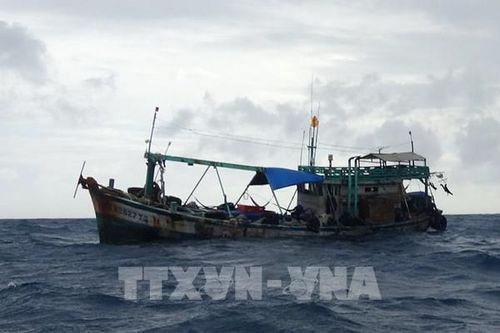 TP. Hồ Chí Minh xử lý hơn 10.000 lít dầu DO không rõ nguồn gốc