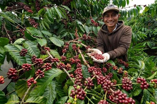 'Hạ tầng mềm' cho nông sản Việt vươn xa
