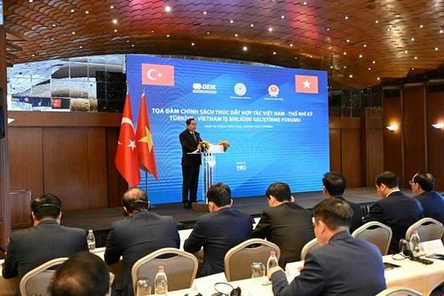 Việt Nam - Thổ Nhĩ Kỳ: Thúc đẩy hợp tác kinh tế - thương mại và đầu tư