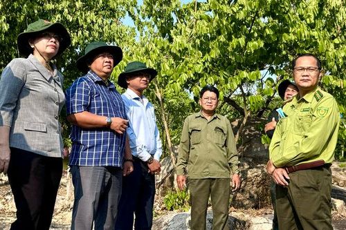 Kiểm tra công tác phòng cháy chữa cháy rừng trên địa bàn xã Ô Lâm