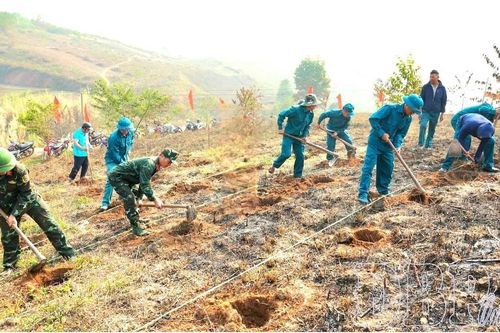 Thi đua đưa nghị quyết của Đảng vào cuộc sống