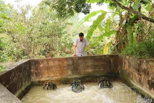 Đảm bảo nước tưới phục vụ sản xuất