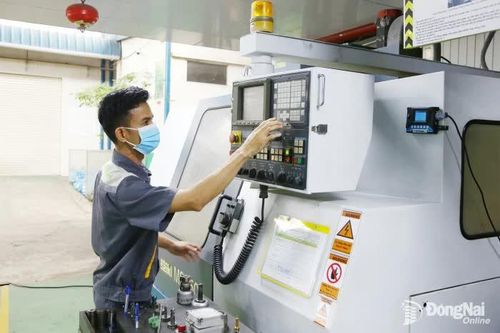 Thu hút nguồn lực lớn từ doanh nghiệp trong nước