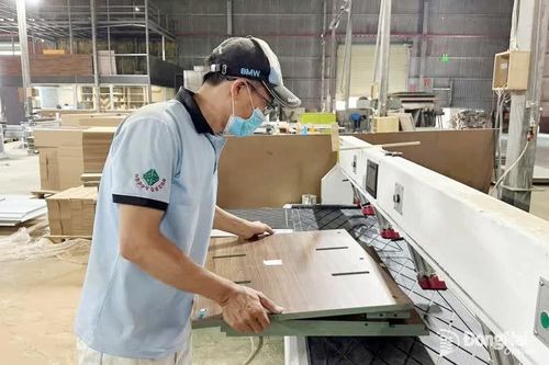 Ngành gỗ hướng đến mục tiêu phát triển mới