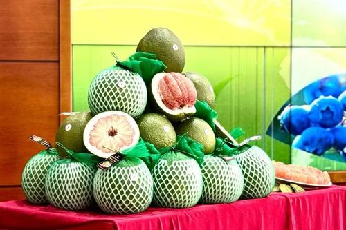 Nhiều quy định mới về an toàn thực phẩm và kiểm dịch động, thực vật ảnh hưởng tới nông sản xuất khẩu