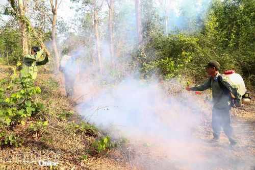 Canh lửa, giữ rừng căm xe Tây Ninh Hòa