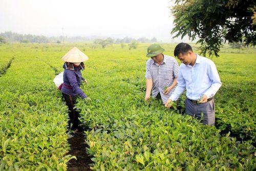 Kỳ 2: Giải pháp đột phá cho tăng trưởng bền vững