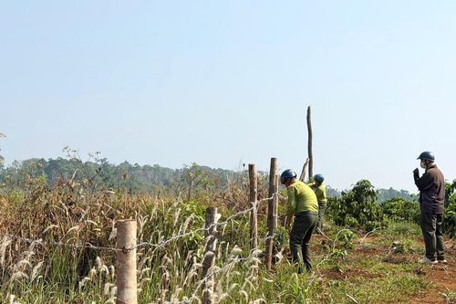 Ngăn chặn lấn chiếm đất rừng vùng giáp ranh đất sản xuất