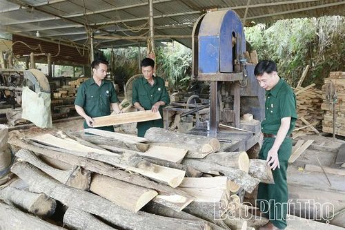 Chiến công trên 'mặt trận mới' của CCB Đoan Hùng
