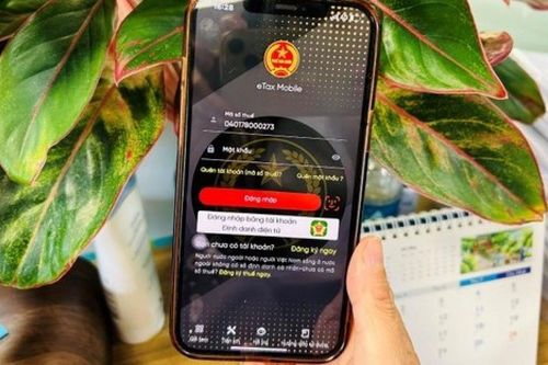 Cá nhân thuộc tổ chức thực hiện sáp nhập, giải thể tự quyết toán thuế thu nhập cá nhân cần lưu ý gì?