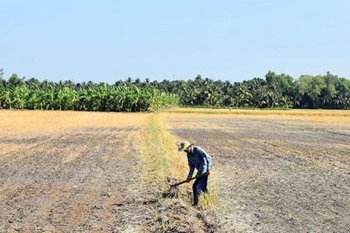 Nhiều khả năng xuất hiện El Nino rất mạnh, cảnh báo nắng nóng gia tăng