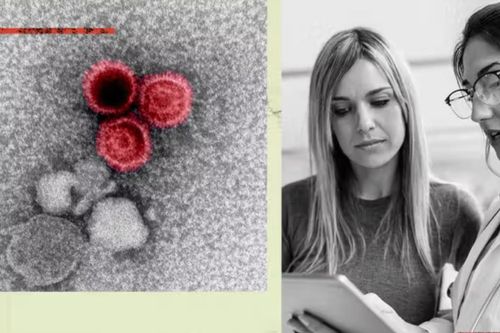 Phát hiện mới về kháng thể có khả năng ngăn chặn virus nguy hiểm