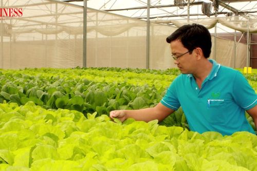 Công nghệ không thiếu, vì sao nông nghiệp đô thị chậm bứt phá?
