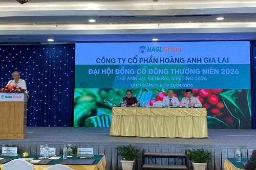 Bầu Đức: 'Tôi còn điều hành, HAGL sẽ không phát hành cổ phiếu kiểu tờ A4'
