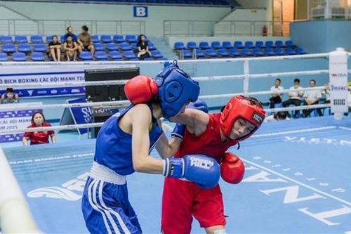 Liên đoàn Quyền anh Việt Nam có chủ tịch mới