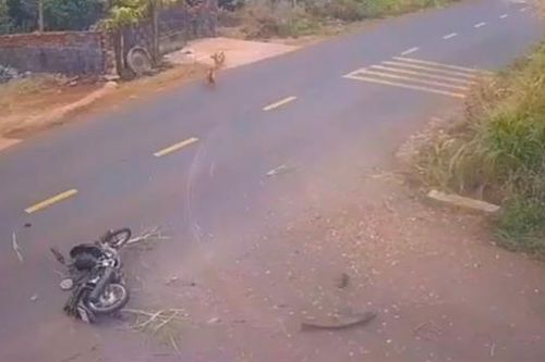 Sẽ họp báo thông tin rõ vụ tai nạn giao thông khiến 1 học sinh tử vong ở Đắk Lắk
