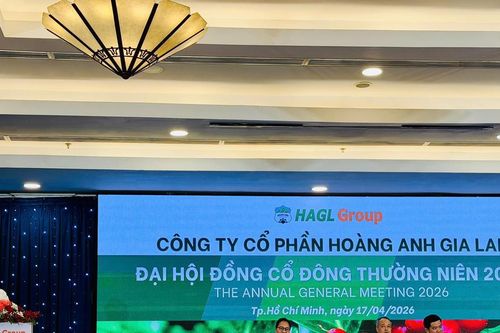 ĐHĐCĐ Hoàng Anh Gia Lai (HAG): Lập đề án lợi nhuận 10.000 tỷ báo cáo cơ quan quản lý, Chủ tịch trần tình về định kiến nợ vay
