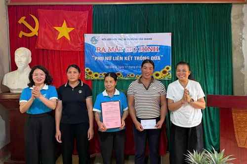 Hội LHPN phường Tân Giang ra mắt mô hình 'Phụ nữ liên kết trồng dứa'