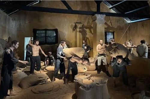 Côn Đảo - trường học Cách mạng của dân tộc Việt Nam: Kỳ cuối: Trau dồi tri thức, thêm sức mạnh chiến thắng kẻ thù