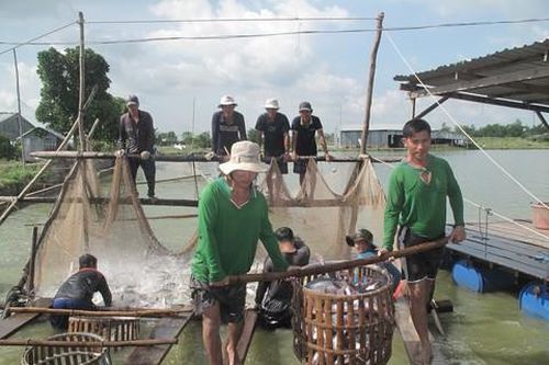 Đồng bằng Sông Cửu Long: Không thể phát triển nếu thiếu liên kết vùng