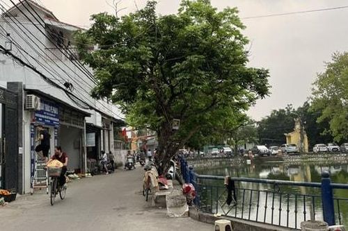 Xã Thanh Trì phát huy mô hình tự quản, giữ bình yên từ thôn, xóm